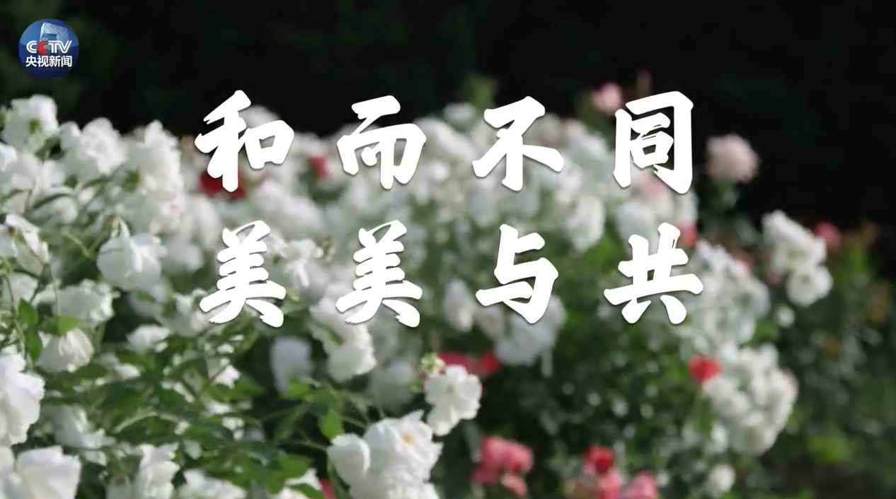 全文丨以文明交流互鉴推动人类文明发展进步