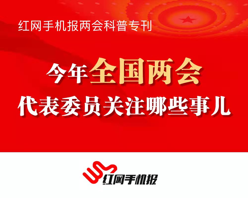 青年与两会丨一见“青”心：住房、教育、婚育，你关注的这些事儿如何解？