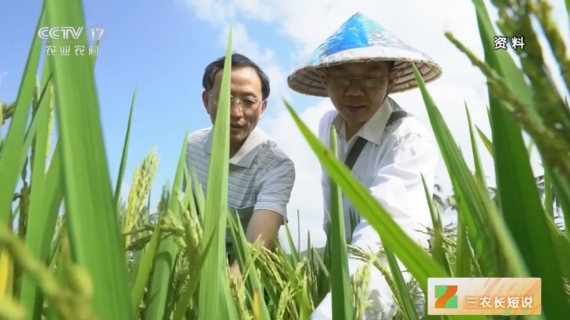 最高法发布第五批人民法院种业知识产权司法保护典型案例