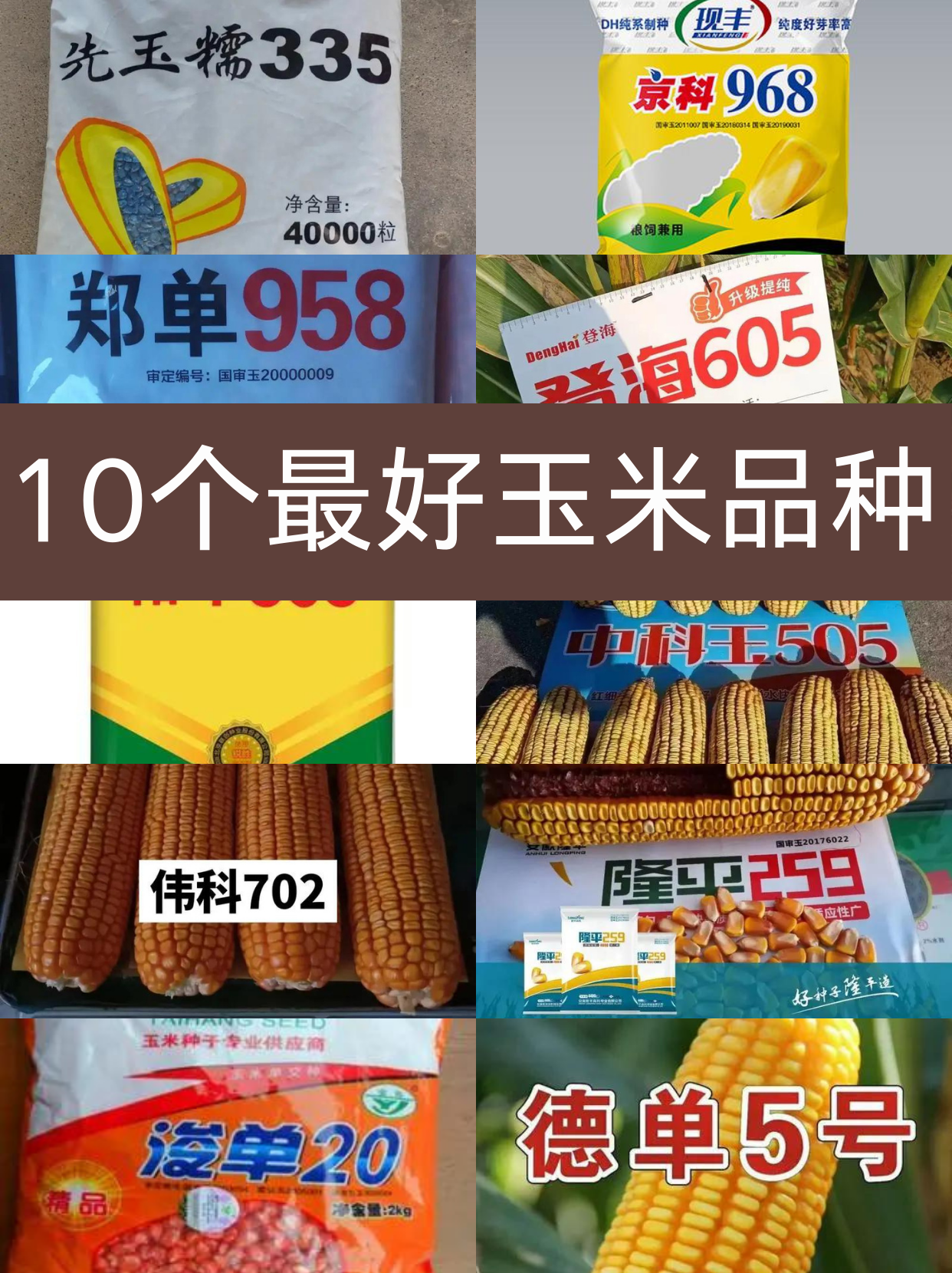 央行等三部门：要围绕粮食等重要农产品稳产保供做好金融服务