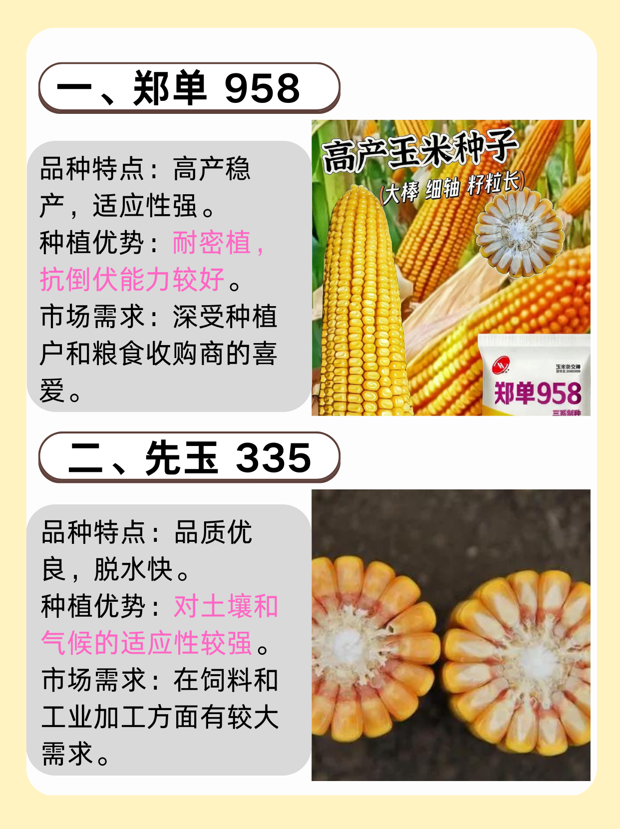 央行等三部门：要围绕粮食等重要农产品稳产保供做好金融服务