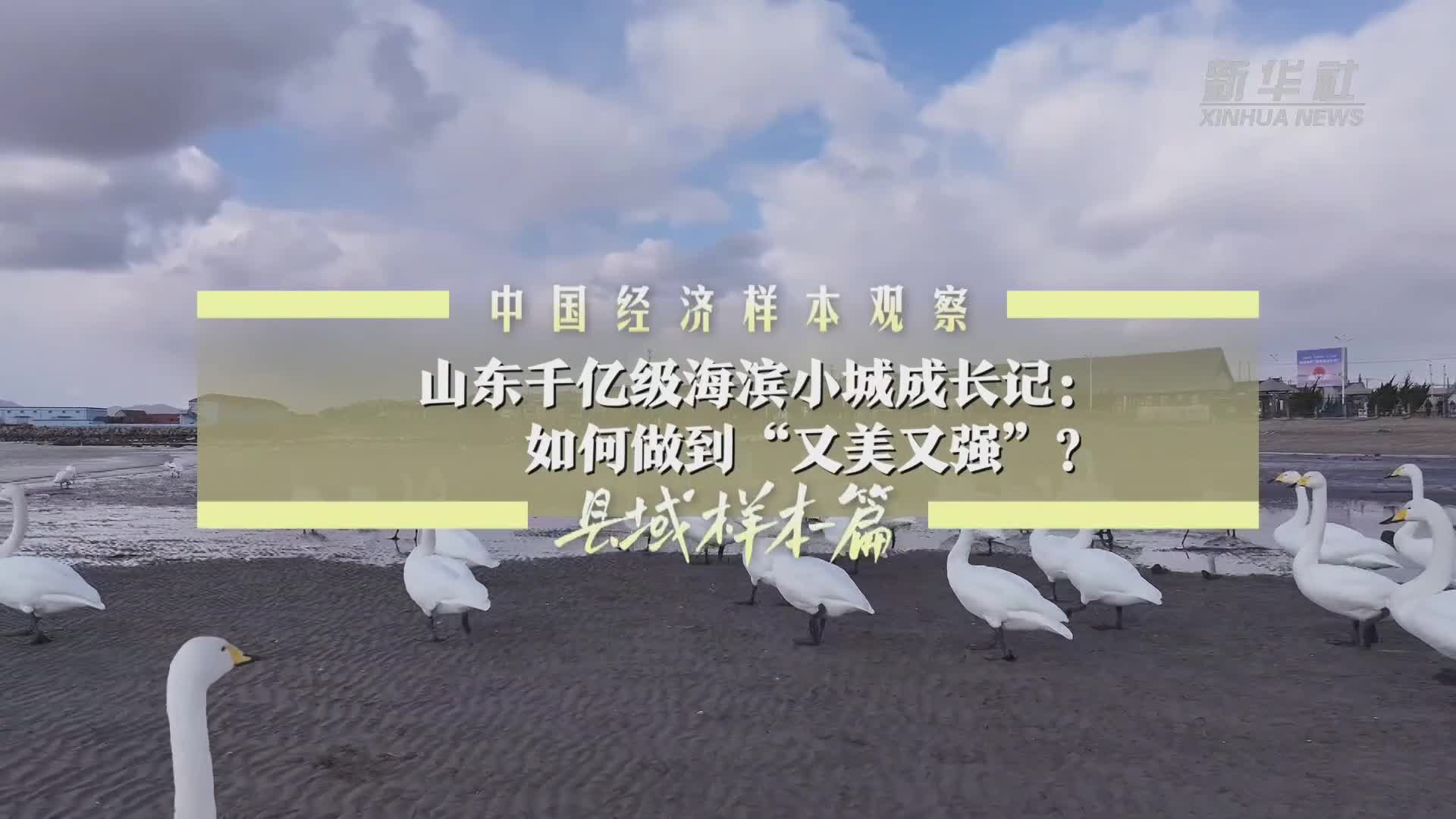中国经济样本观察·县域样本篇丨湖南小城每年生产超150亿只打火机销全球
