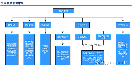 金河生物：新获一项猫疫苗发明专利