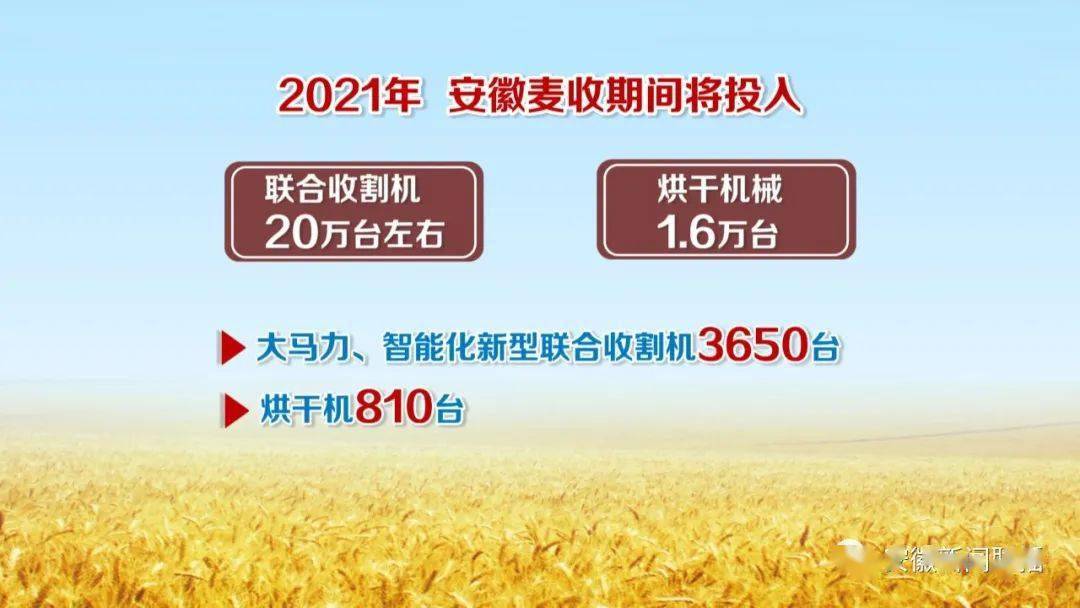 江苏小麦收获进度过半 机收率超99%