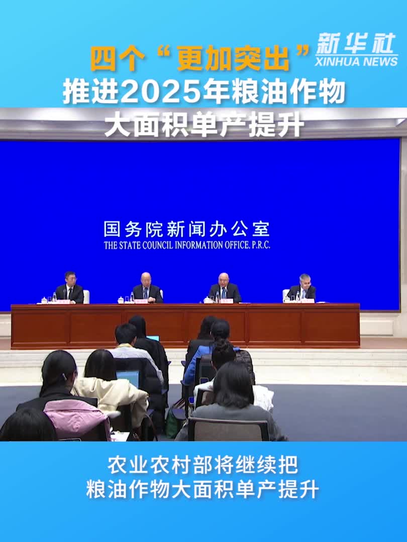沉甸甸的收获——2025年夏季粮油收获一线观察