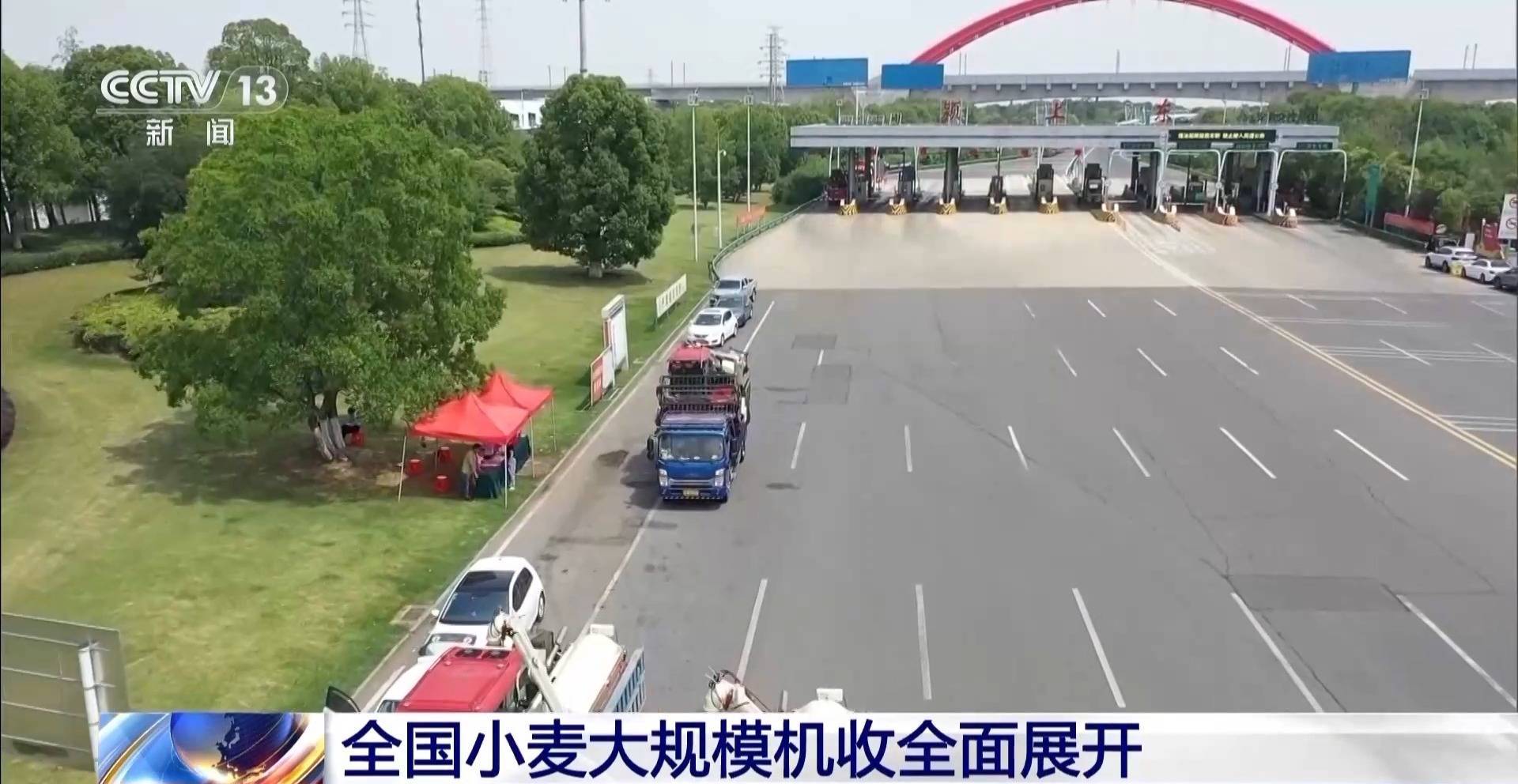全国夏粮小麦收购量超1700万吨