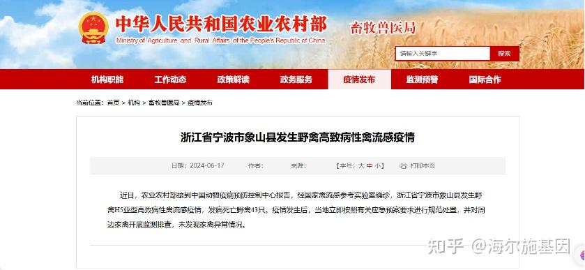 巴西宣布本轮高致病性禽流感疫情结束
