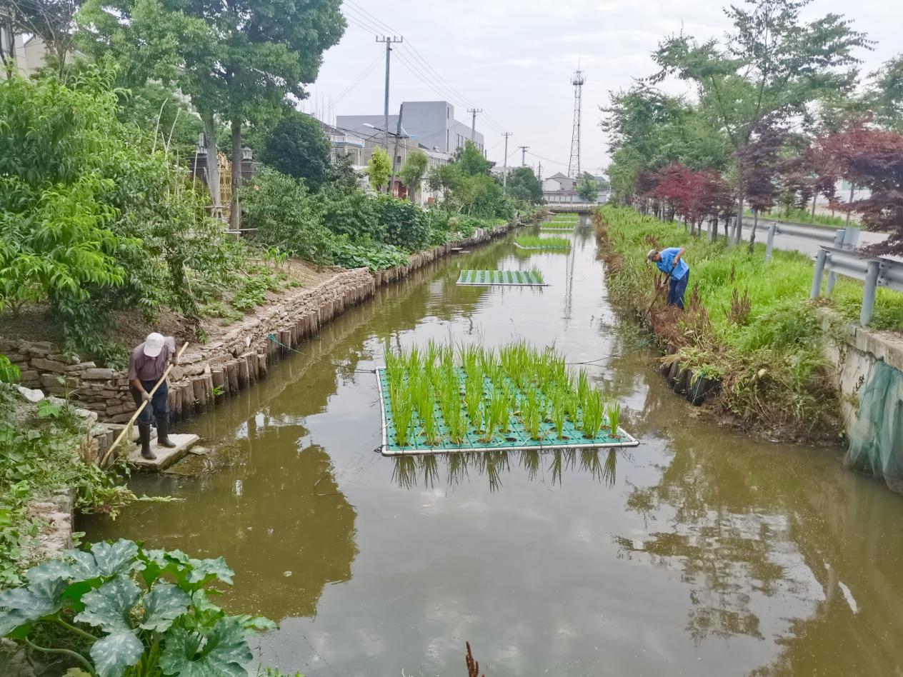 水更清、滩更净、湾更美——我国多措并举加强海洋生态环境保护