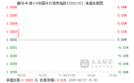 国开行在国际市场成功发行双币种债券