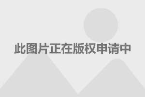 公告速递：富国颐利纯债债券型基金暂停大额申购、转换转入及定期定额投资业务