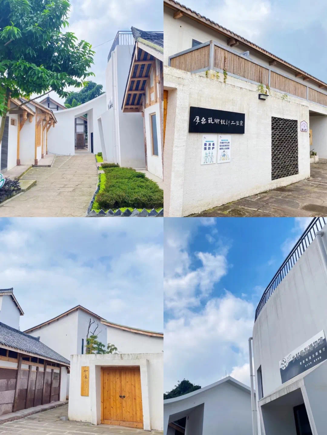 “浙川情·乡村兴”县域经济高质量发展研讨活动在四川苍溪县举行