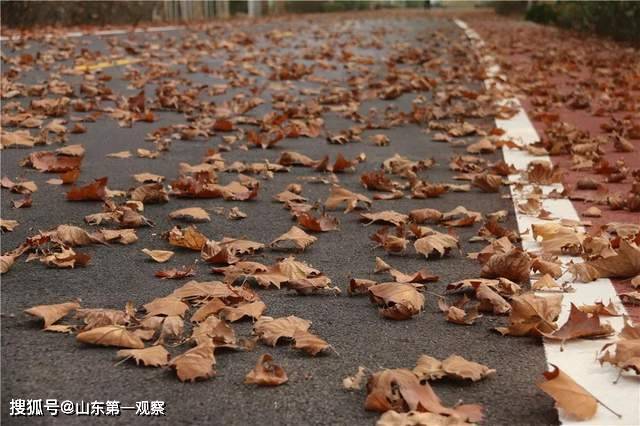 第一观察 | “多样文明是世界的本色”