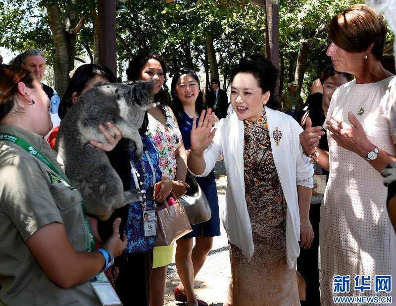 习近平会见澳大利亚总理阿尔巴尼斯