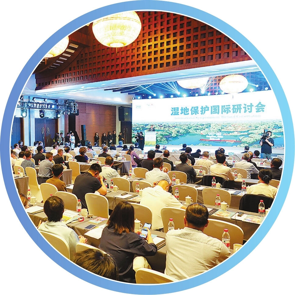 中国湿地保护成就获国际赞誉