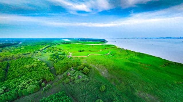 中国湿地保护成就获国际赞誉