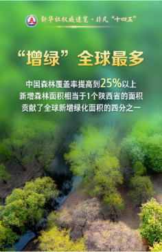 决胜“十四五” 打好收官战丨做好“减震器”“稳定器”！“十四五”期间保险业保障能力持续提高