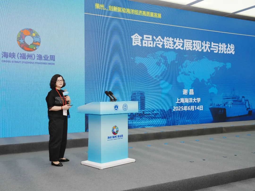 精耕深蓝，加快建设海洋强国——“中国经济圆桌会”聚焦海洋经济高质量发展