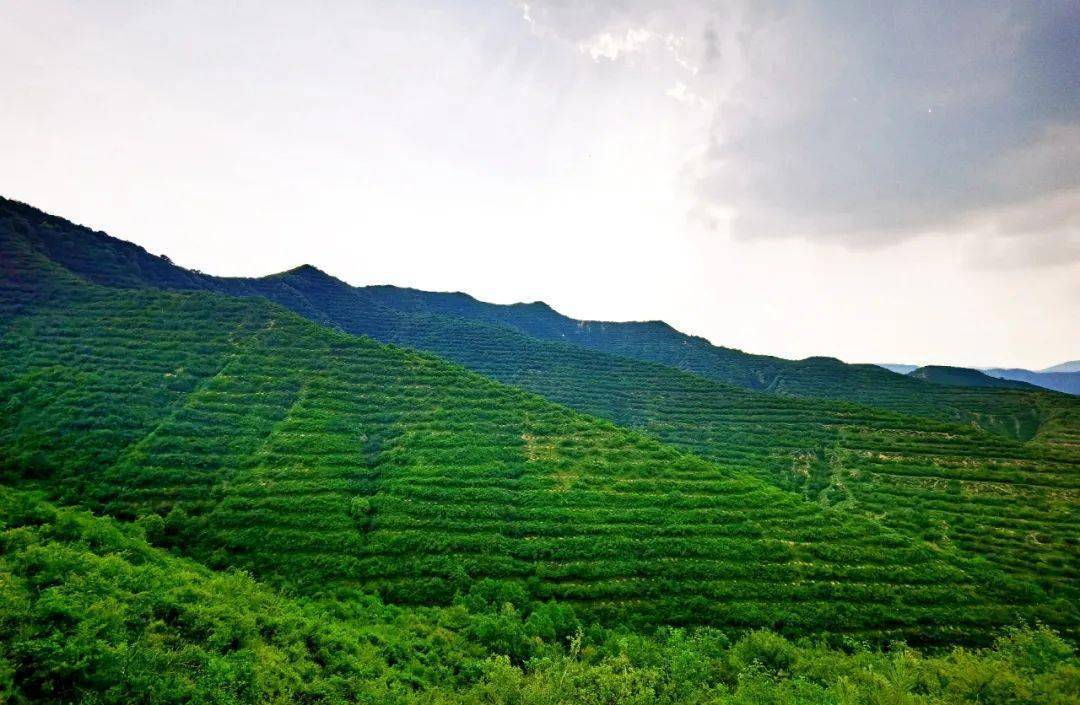 厚植高质量发展的绿色底色——来自2025年全国生态日主场活动的观察