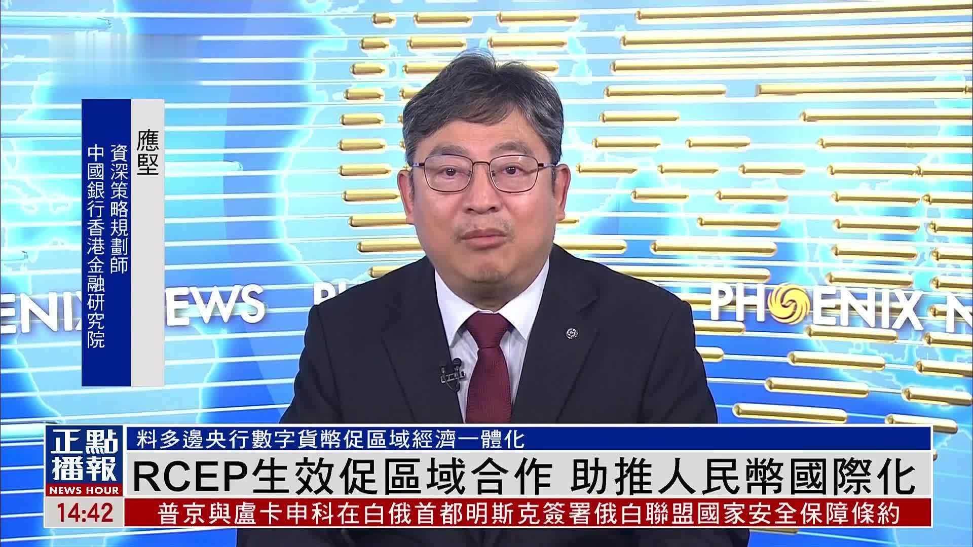 RCEP成员国共商区域合作新机遇