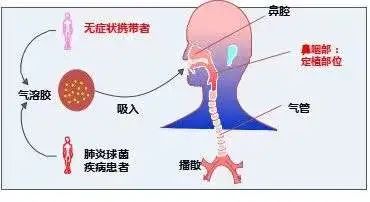 康泰生物：上半年营收13.92亿元 布局肺炎克雷伯菌疫苗