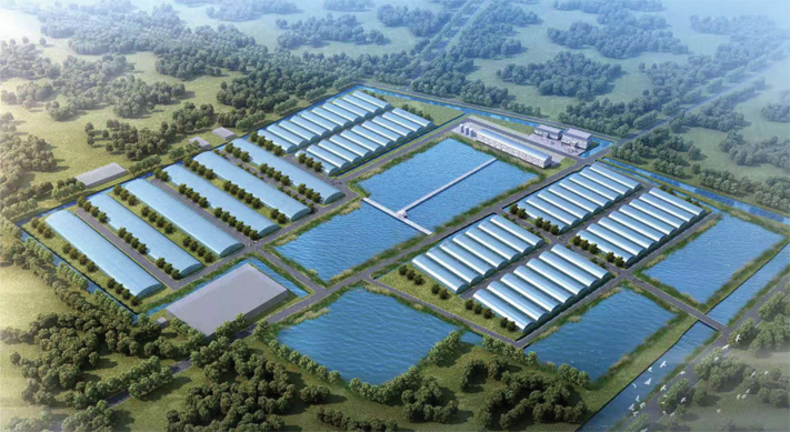 中水渔业：加快推进远洋渔业产业转型升级 实现远洋渔业高质量发展