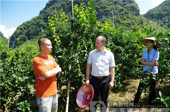积极践行“人民保险 服务人民”使命 聚力做保险业守护民生福祉的领头雁 　　