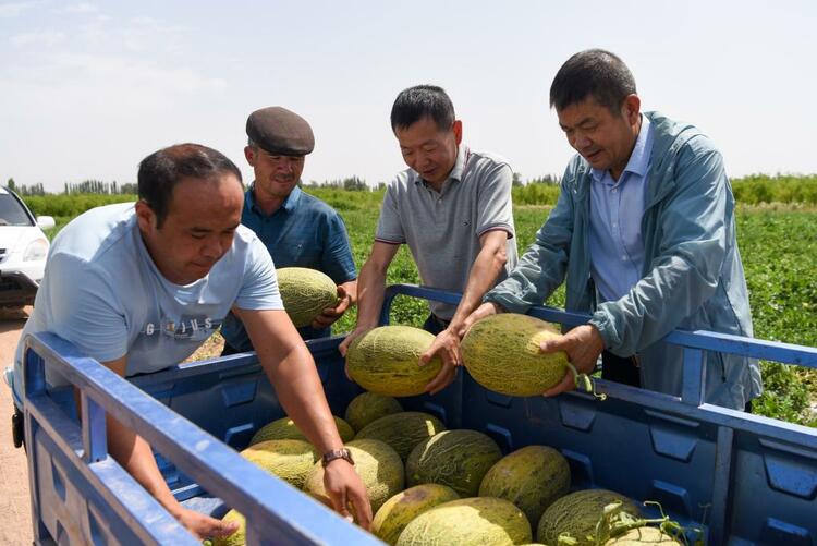 习近平接见新疆各族各界代表