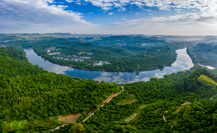 泰禾股份:前三季度营收38.9亿元 以研发创新筑牢全球农化竞争优势