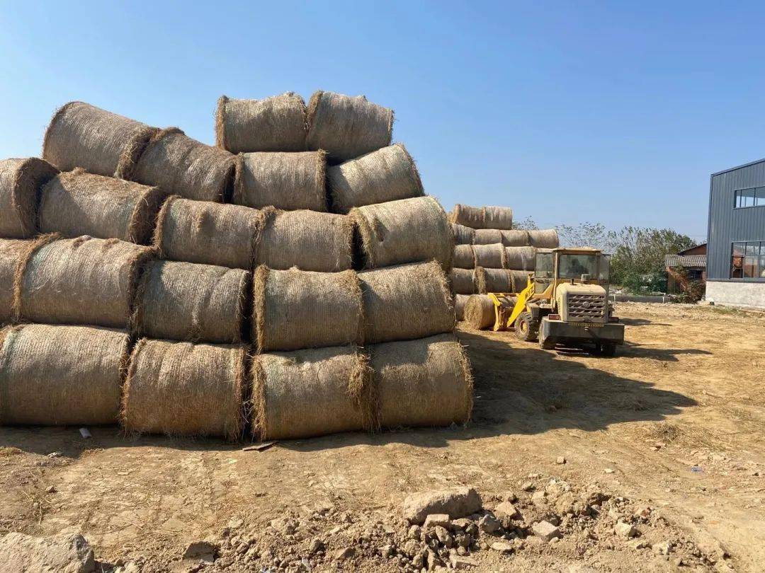 从“坎土曼”到智慧农机 新疆农业机械企业数量位居全国第六