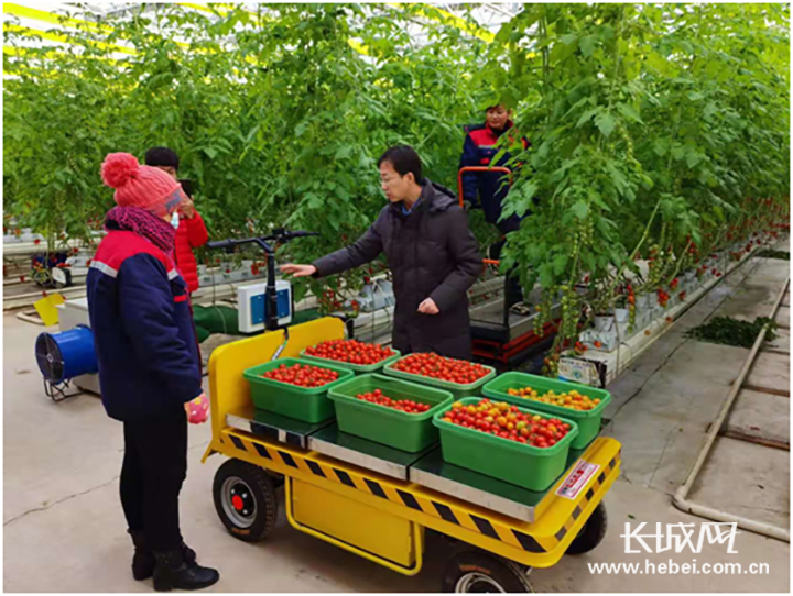 从“坎土曼”到智慧农机 新疆农业机械企业数量位居全国第六