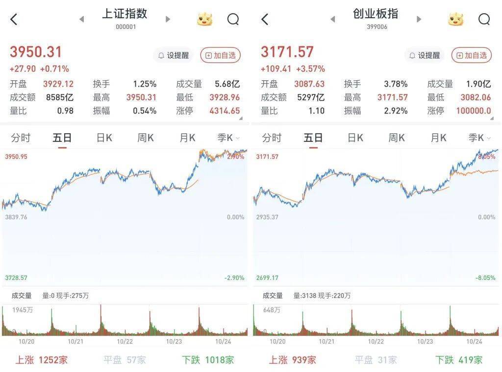 蓝筹股持续发力 沪指再创年内新高