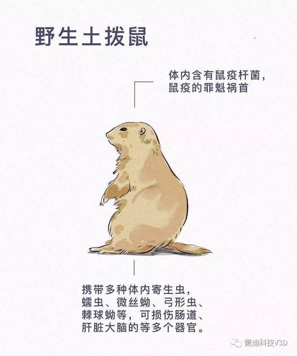 “征集令”已发出 关于特殊食品数智治理和科普