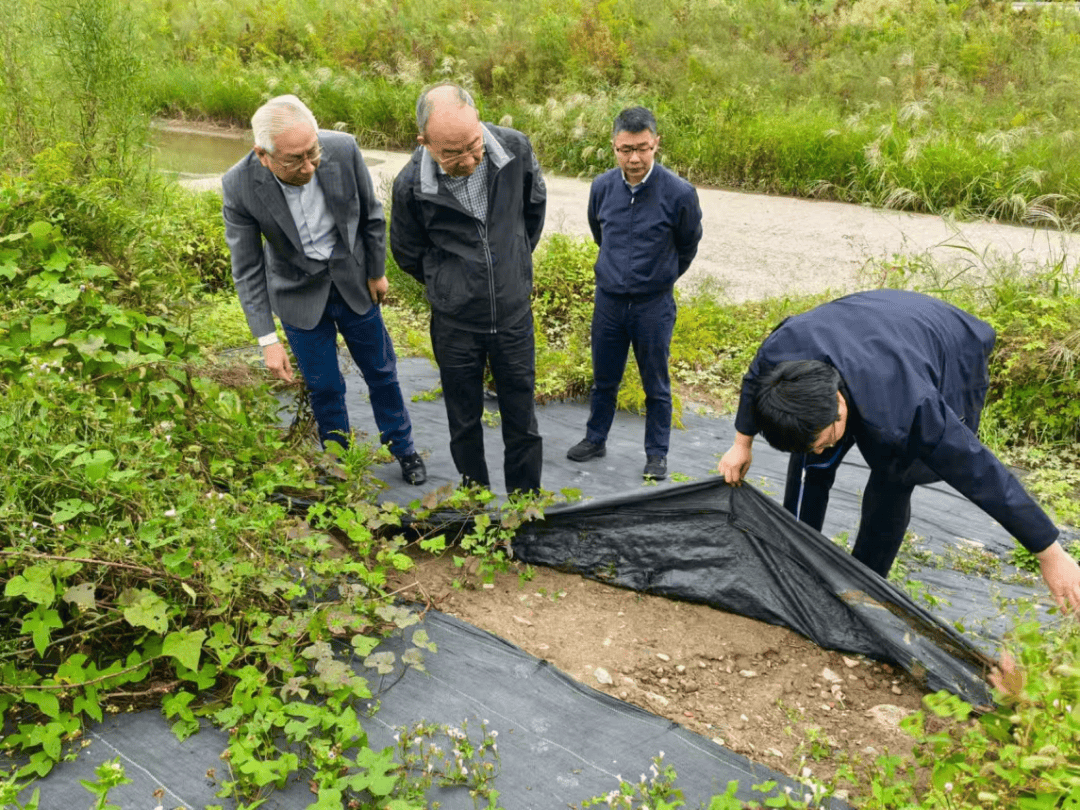 第三轮第五批中央生态环境保护督察全部进驻