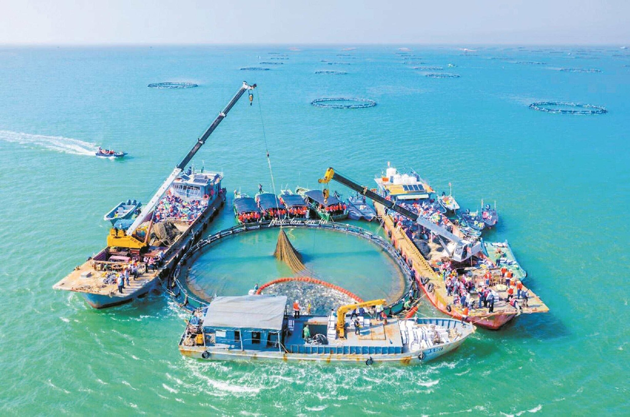 全球首创！漂浮式动力定位养殖平台“湛江湾1号”正式交付