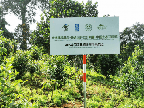 植物医生再获“全球领先的单品牌护肤品专卖店”认证，曼谷开店“中国成分”走出去