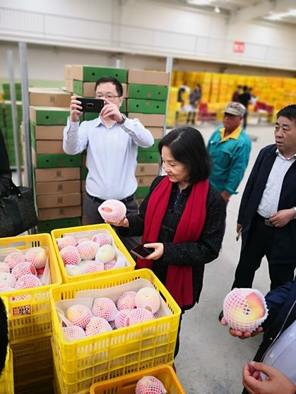 甘肃“保险+期货”模式纵深推进 打造特色农业保障体系