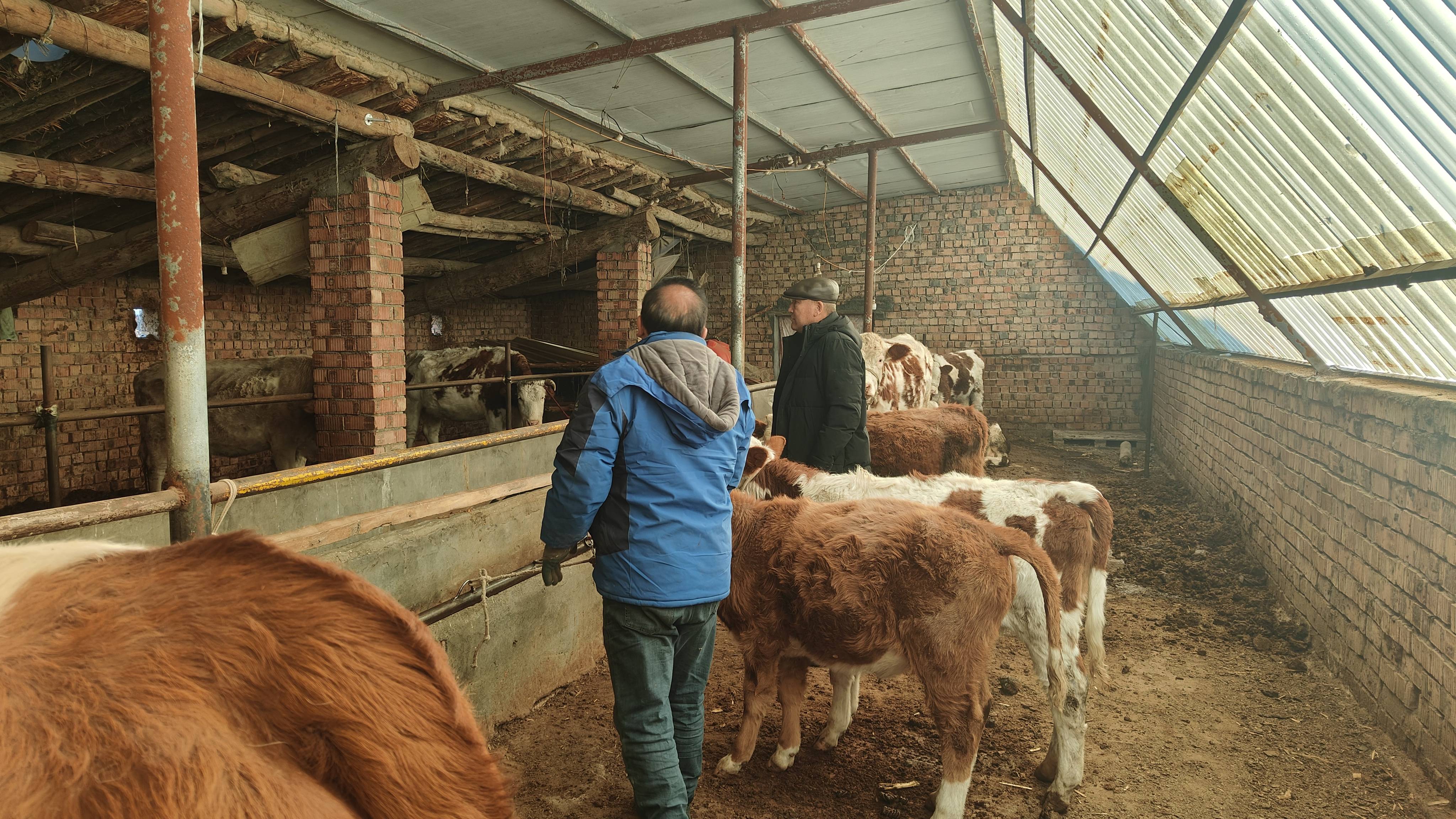 升级防寒保障！多地筑牢民生“保温墙”