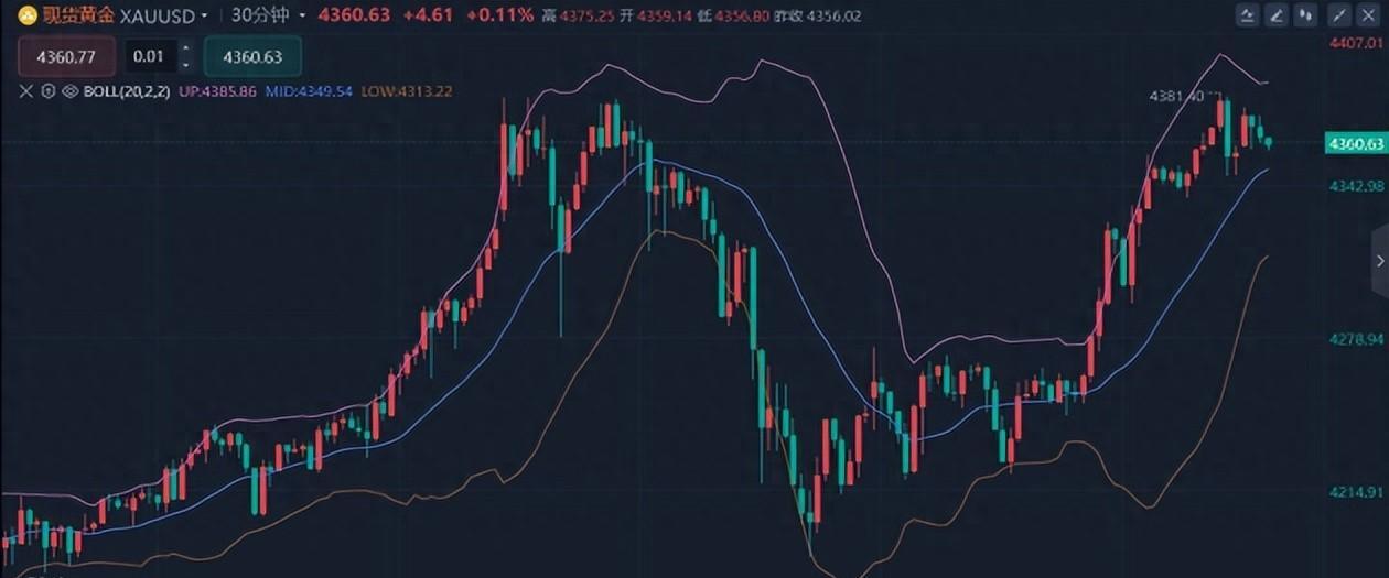 科技基金强势反弹！有产品近两日净值涨超10%创新高，光模块概念股成最大推手