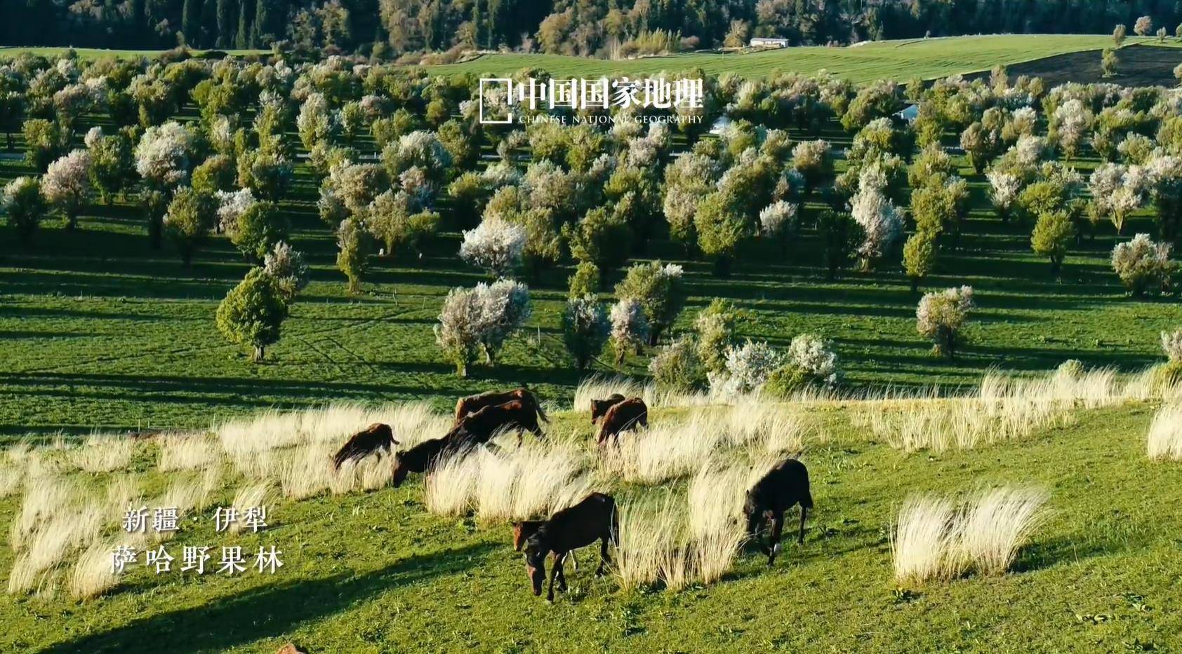 更好保障电力系统安全稳定运行 助力能源绿色低碳转型——解读《关于完善发电侧容量电价机制的通知》