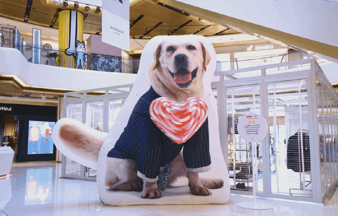 网易严选与绿城达成战略合作 启动“宠物友好社区”计划