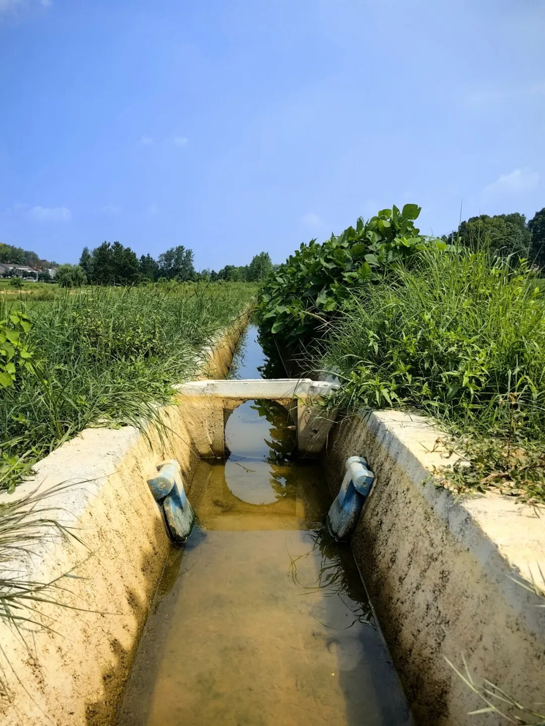 大禹集团高标准农田建设相关技术成果获肯定