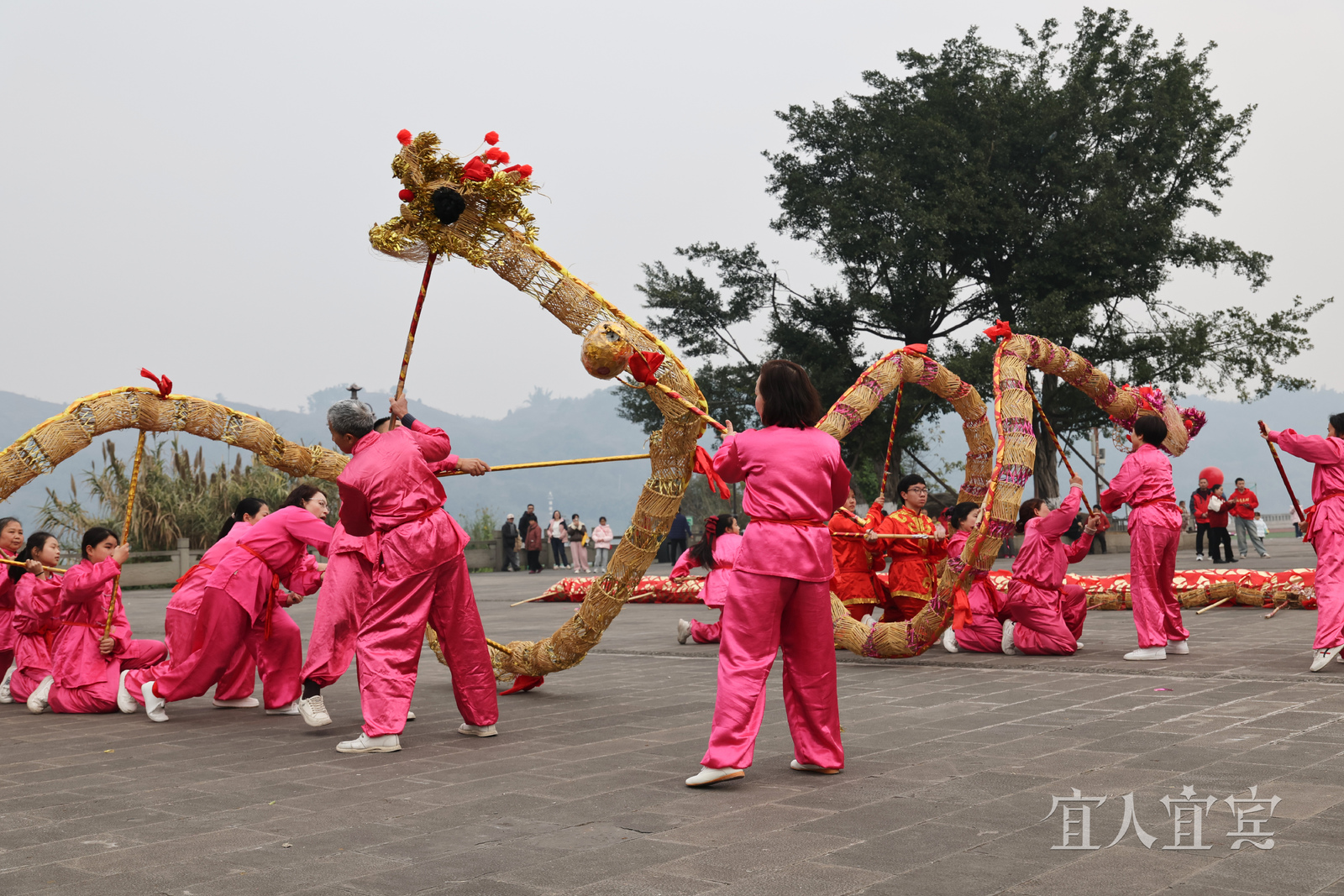 新春走基层丨贵州独山鄢家山社区的“新春序曲”