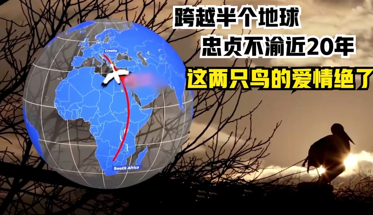 跨越半个地球 中国春节“圈粉”拉美