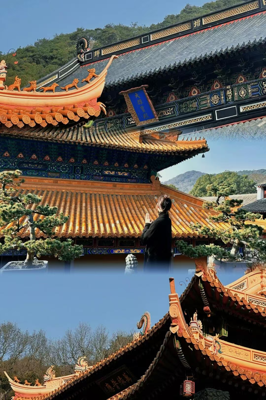 东北年味香飘京城 一大批锦州农特产品跨越山海而来