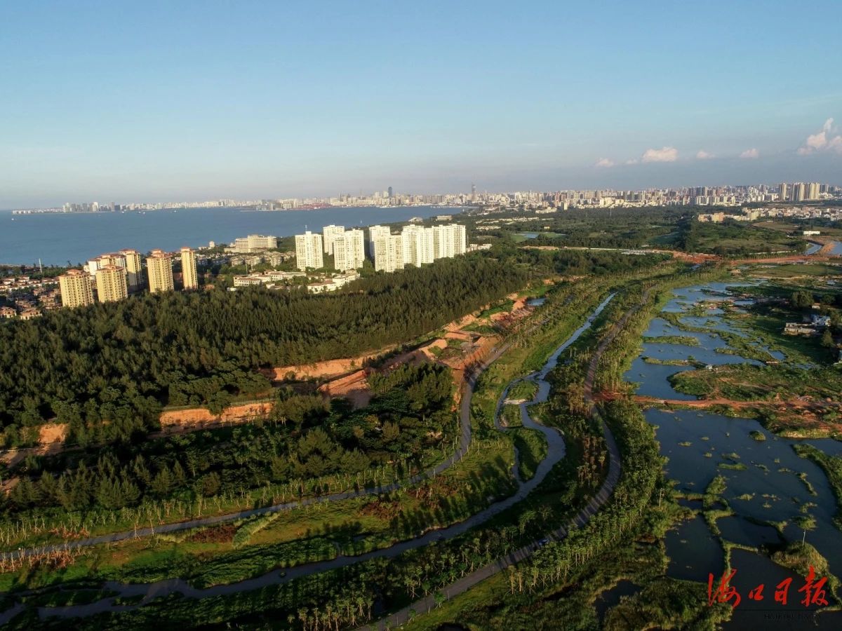 步长制药：子公司获梅河口市“2025年工业经济突出贡献企业”称号