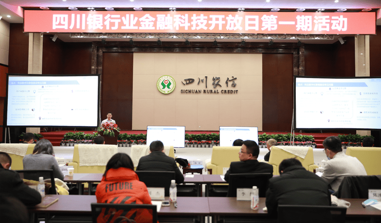 聚焦风险化解与人才流动 为打造西部金融中心建言——专访全国政协委员，四川银行原党委书记、董事长林罡