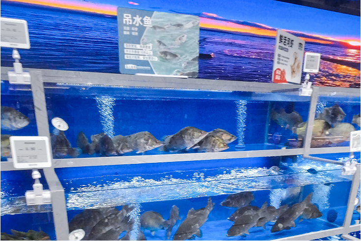 攻守兼备 海外破局，永臻股份在“光伏红海”中跑出加速度