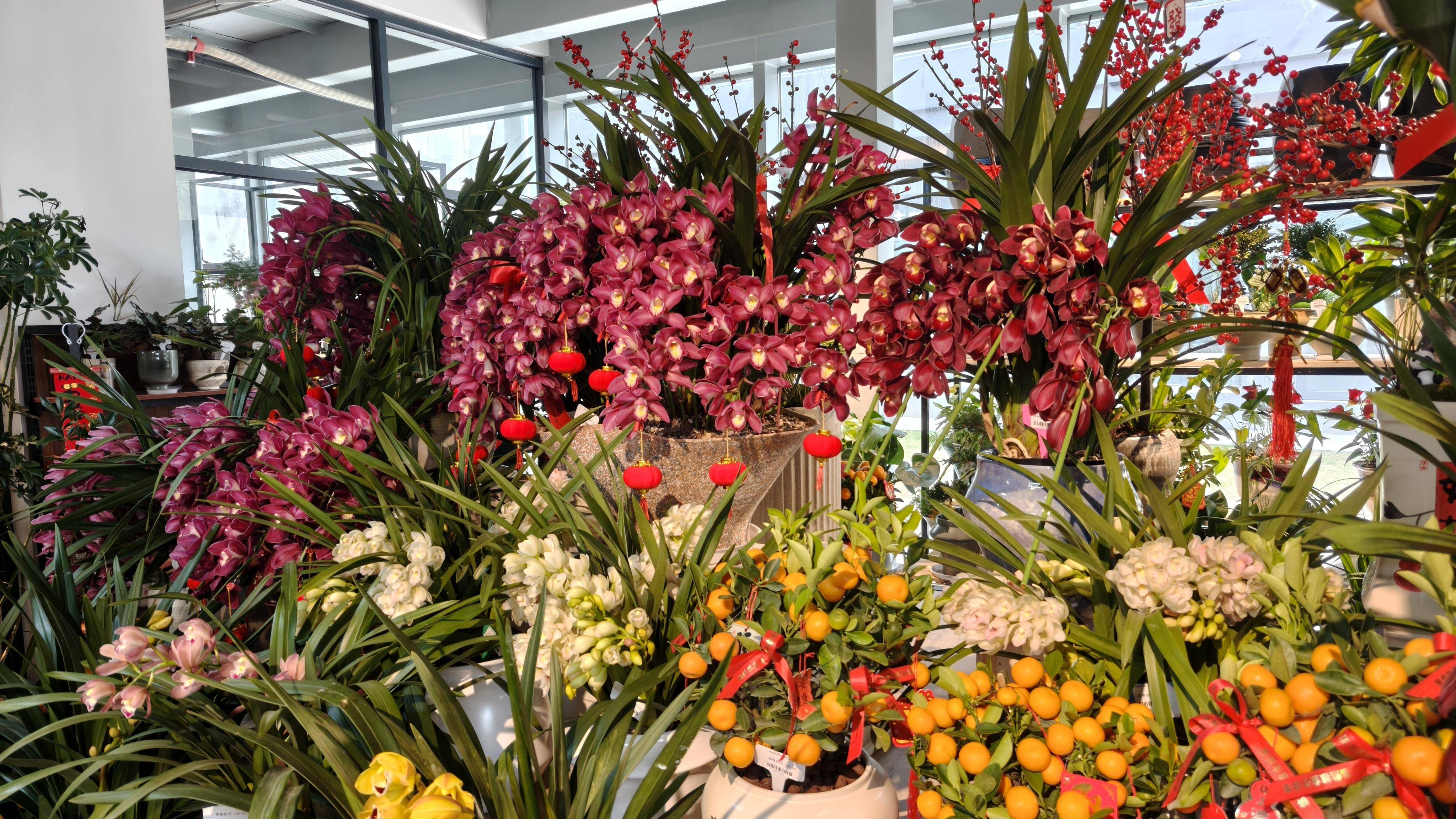 新春走基层丨山河四省沉浸式“年味经济”撬动消费新引擎